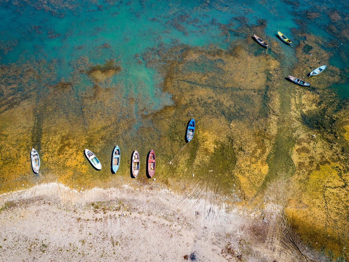 fishing boats