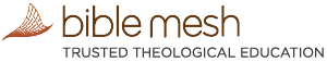 bible mesh logo