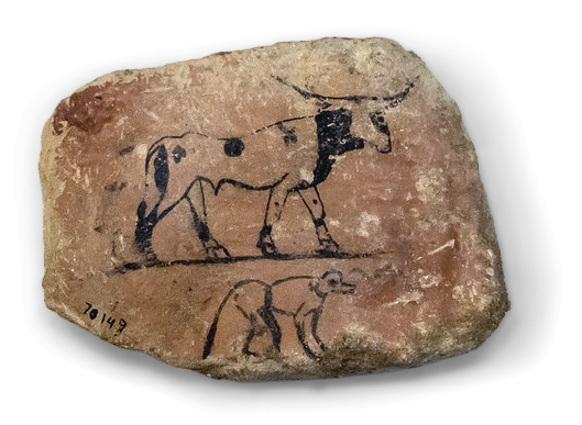 egyptian ostracon