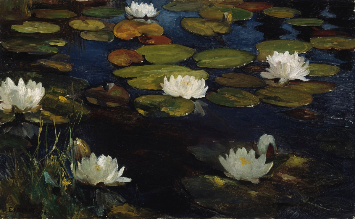 Water lilies - Albert Edelfelt