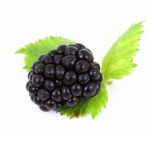 blackberry